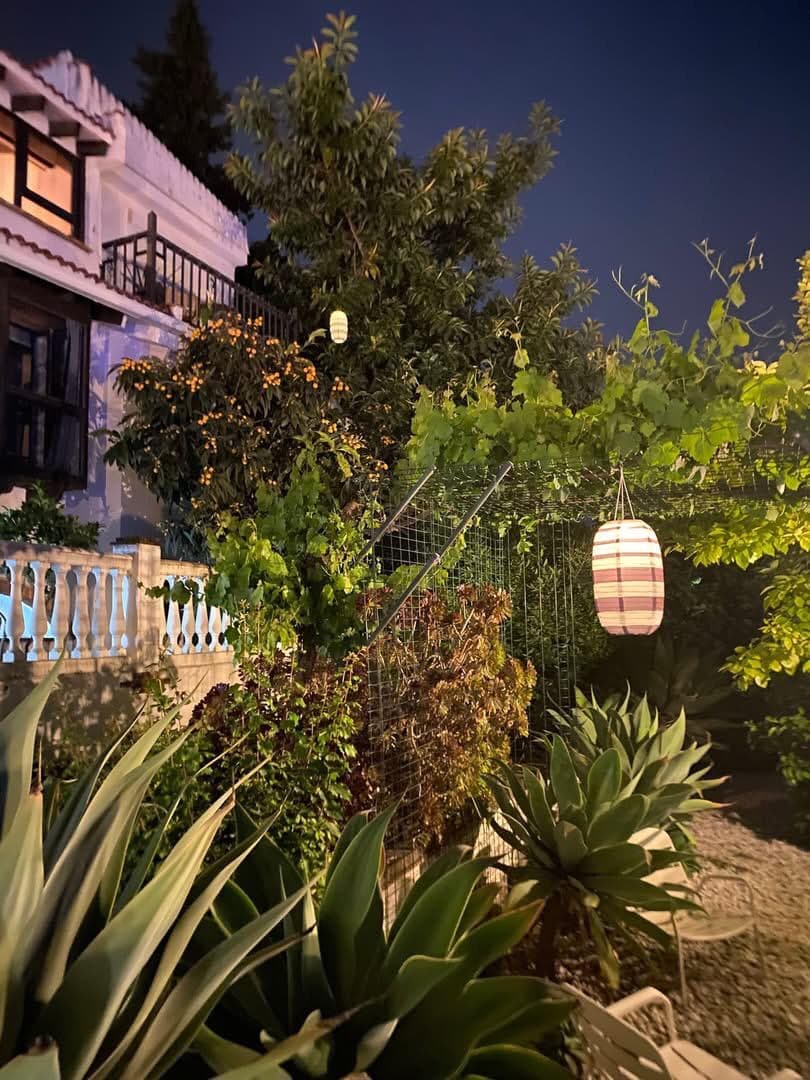 Orange tree garden at Casa la Sorpresa